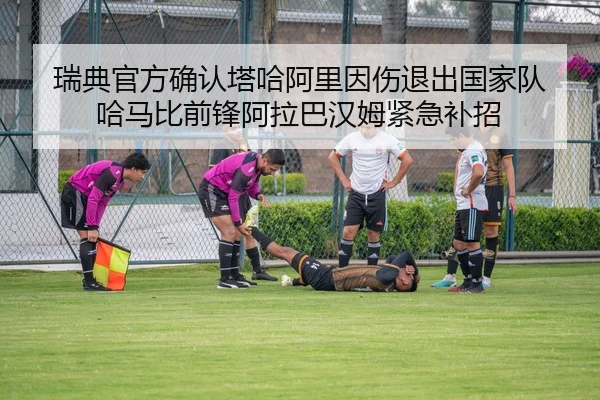 瑞典官方确认塔哈阿里因伤退出国家队 哈马比前锋阿拉巴汉姆紧急补招